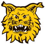Ilves III